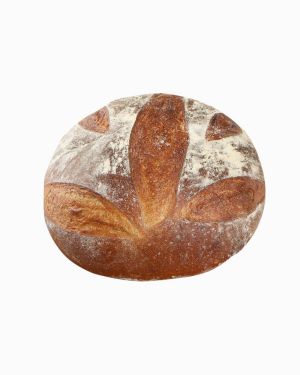 Poppy bagel